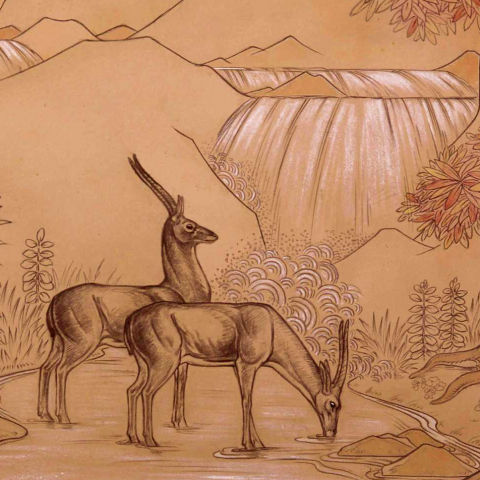 Antilopes devant une cascade